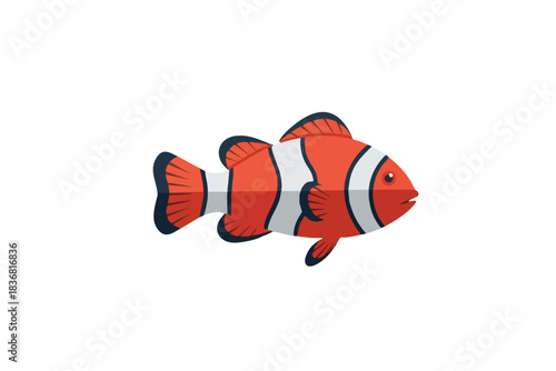 Clown Fish Illustration