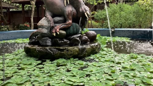 water hyacinth pond with fountain and statue