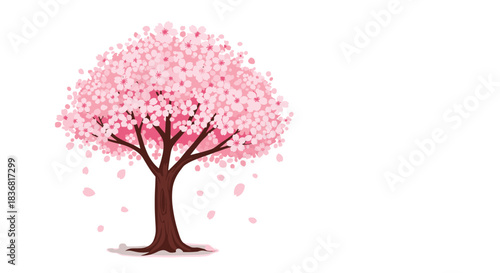 Beautiful blooming cherry blossom tree with pink flowers and falling petals, a symbol of spring in Japan, on a white background.