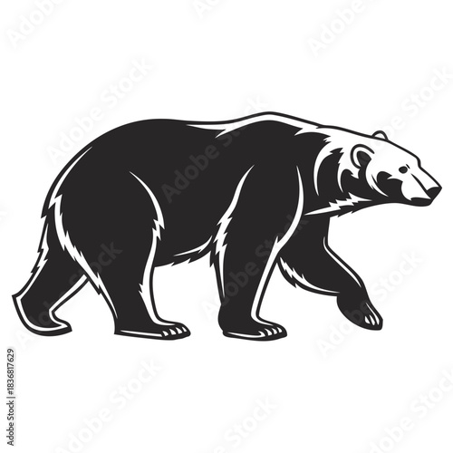 polar bear vector