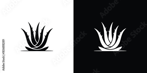 Stylized black and white aloe vera plant icons symbolizing natural health wellness and skincare products