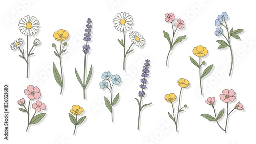 A collection of hand-drawn illustrations of various wildflowers including daisies, buttercups, lavender, and forget-me-nots, depicted with soft colors and outlines on a white background.