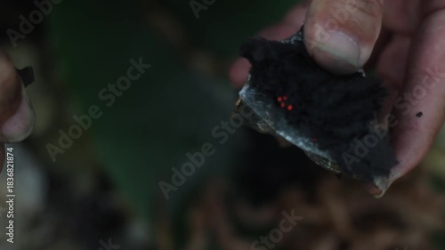 bush-craft survival fires-traditional-flint-steel