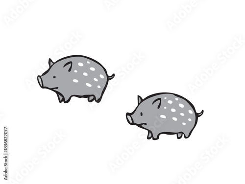 かわいいウリ坊　イノシシ　猪