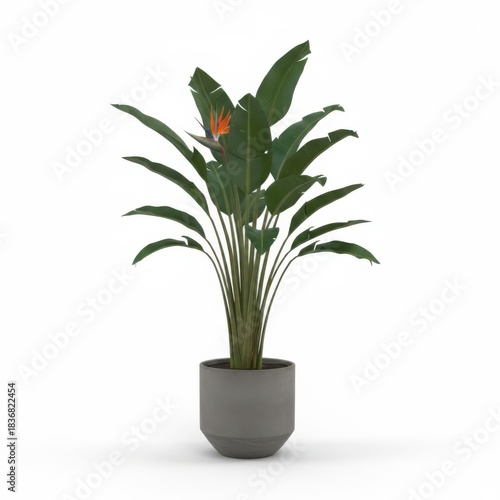 Potted green houseplant with tropical foliage and a fresh flower in a decorative flowerpot