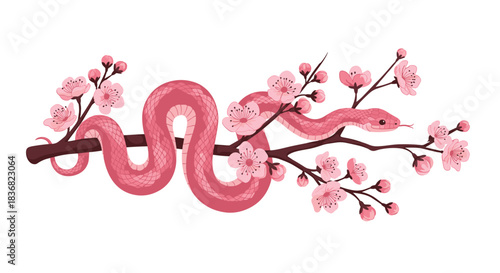 Beautiful pink snake with detailed scales coiled on a branch of blooming pink cherry blossoms, isolated on a white background.