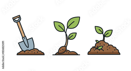 Sprout Growth Stages with Shovel in Soil Illustration.