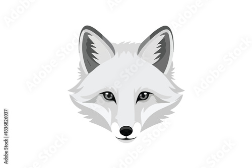 White Fox Head Illustration