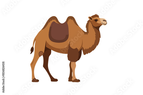 Illustration of a camel with a saddle on its back