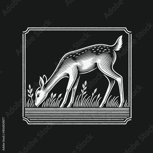 Vintage engraving style illustration of a young fawn grazing in grass.
