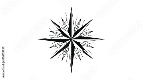 Stylized compass rose illustration symbolizing direction and guidance