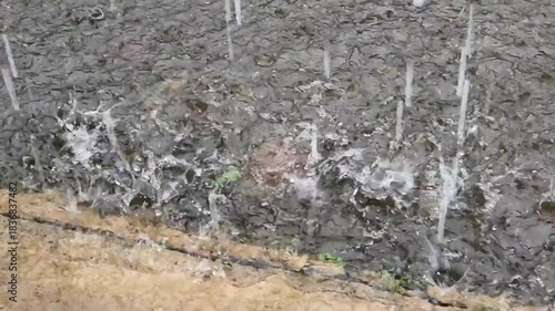 Heavy rain splashing on pavement in close-up cinematic detail. Raindrops hitting wet ground with dynamic splash textures. Intense rainfall creating dramatic street-level water splashes