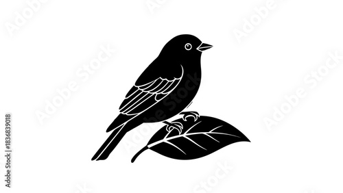 A blackbird with dark feathers and a sharp beak sits on a tree branch, creating a natural wildlife silhouette isolated on a clean white background
