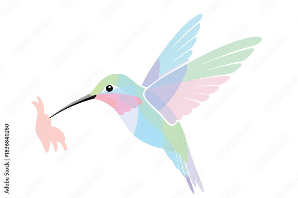Fototapeta premium Hummingbird Feeding Young Bird on White Background