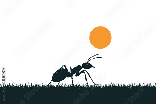 Silhouetted Ant Against Orange Sun