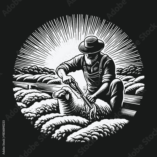 Vintage style farmer shearing a sheep in a sunlit pastoral field.