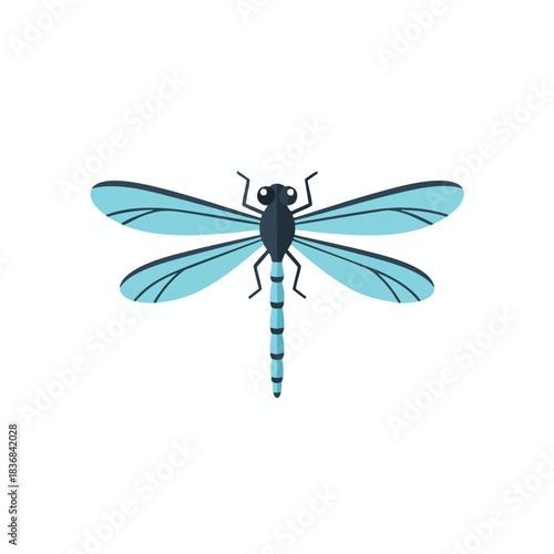 Vector illustration of a blue dragonfly with transparent wings