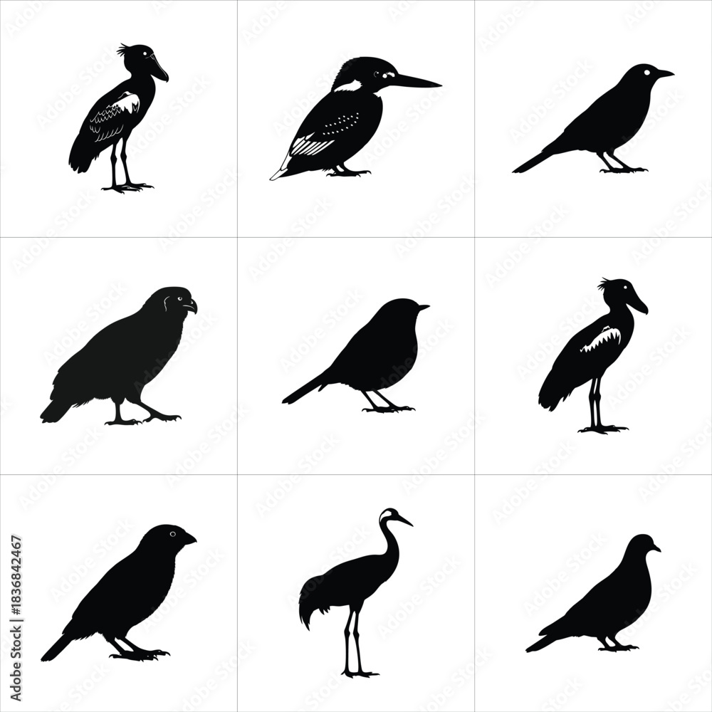 Fototapeta premium Set of nine different bird species silhouettes isolated on white background