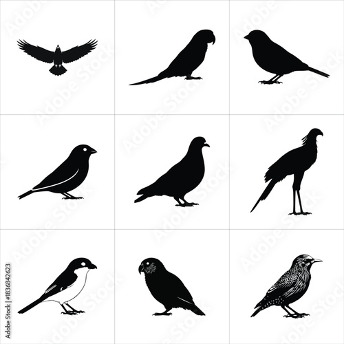 Set of bird silhouettes in various poses, isolated on white background