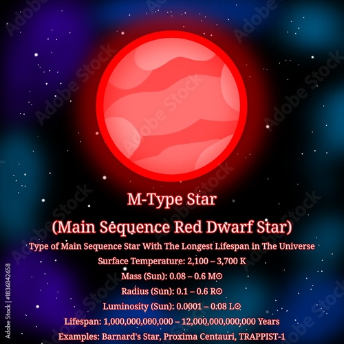 M-Type Red Dwarf Main Sequence Star (Type of Main Sequence Star With The Longest Lifespan in The Universe) – OBAFGKM Stars Infographic