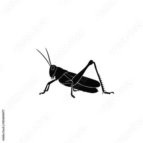 Black Grasshopper Silhouette