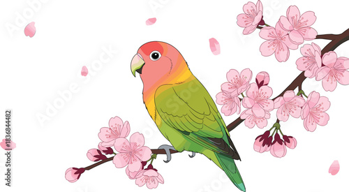 Colorful lovebird perched on blooming cherry blossom branch in elegant spring floral vector illustration with falling petals and soft nature details