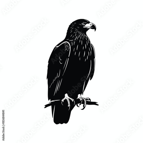 Majestic Bird of Prey Silhouette