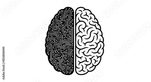 Split brain illustration symbolizing logic versus creativity or complexity versus simplicity