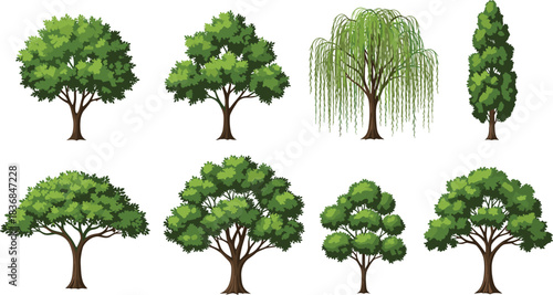 Diverse Set of Green Deciduous and Evergreen Trees Vector Illustration, Nature Landscape, Park, Forest, and Botanical Design Elements.