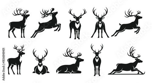 Majestic deer in various poses, celebrating the beauty of wildlife