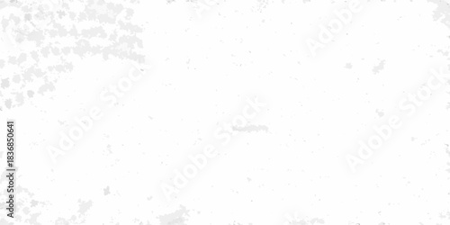 Subtle white grunge texture with distressed and speckled surface