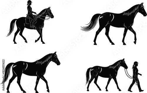 Horse and Equestrian Rider Black Silhouette Vector Set, Walking and Trotting Animals with Handler Graphics, Detailed Equine Sports Collection for Stable Logo, Decoration, or Design Element