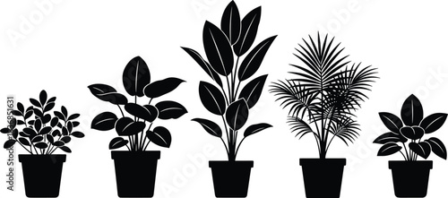 Houseplants Black Silhouette Vector Set, Indoor Potted Plants Collection, Five Different Types of Decorative Home Garden Flora Graphics, Ideal for Logo, Decoration, and Interior Design
