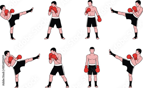 Kickboxing fighter demonstrating multiple striking stances, punches, and high-kick techniques in clean vector illustration for martial arts training and combat sports content