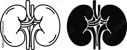 Human kidney internal organ line art and black silhouette icons, isolated vector illustration for nephrology, urinary system, and healthcare science.