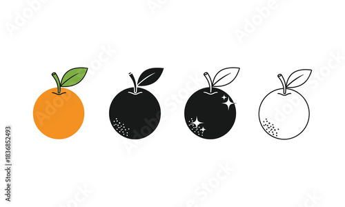 Orange fruit vector illustration with leaf various style graphic