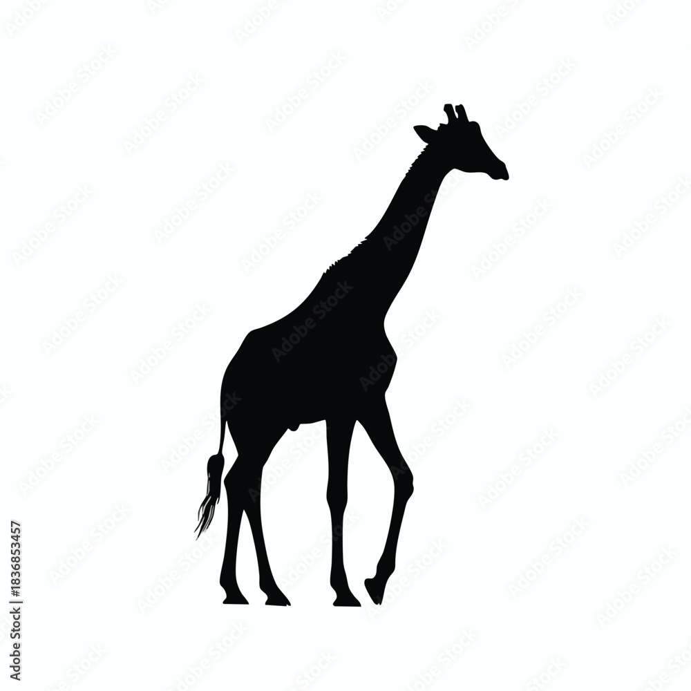 Obraz premium Giraffe Silhouette Illustration
