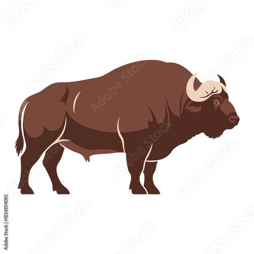 Brown Bull Illustration