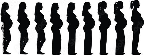 Pregnant women silhouettes set, black silhouette of diverse expecting mother figures in various poses and stages for maternity, pregnancy, and prenatal care vector illustration content.
