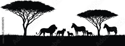 African wildlife silhouette with zebras and lions under acacia trees