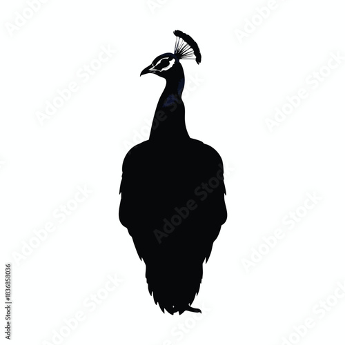 Silhouette of a majestic bird with elegant plumage