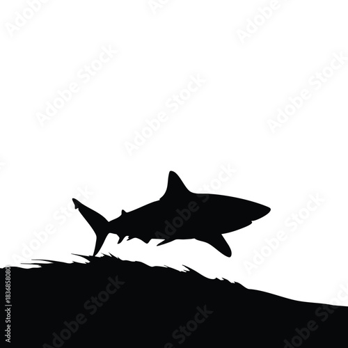 Silhouette of Shark Breaching Water s Surface