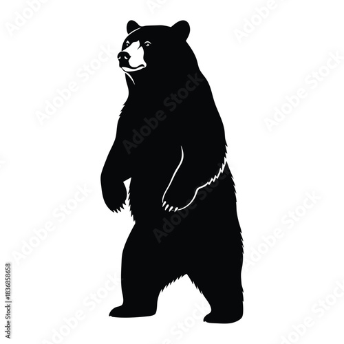 Black Bear Silhouette Standing