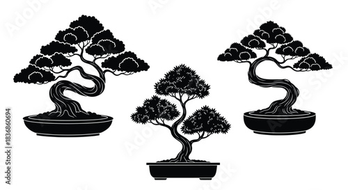 Elegant bonsai trees in decorative pots arrangement