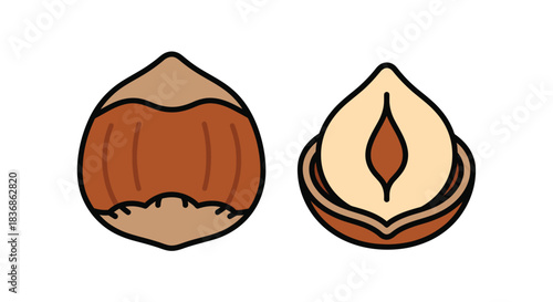 Cartoon hazelnuts whole and halved with kernel
