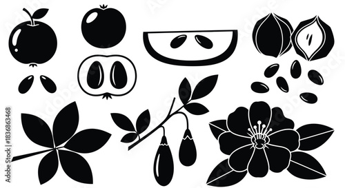 Black silhouettes of various fruits and flowers