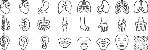 Human anatomy icons, internal organ set, body part line graphics, editable, isolated, medical clipart, vector, health, diagnostic, stylized