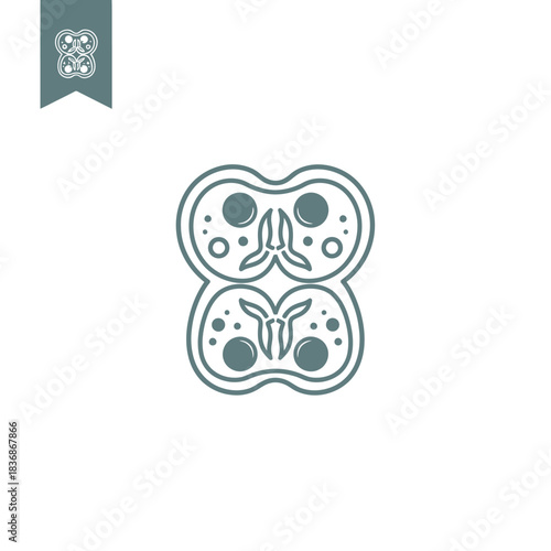 Abstract representation of a biological cell division process, showcasing mitosis with detailed cellular structures