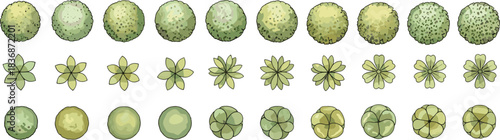 Top-down plant views, green shrubs, foliage textures, landscape design elements, garden planning icons, botanical layout set, flat vector illustration