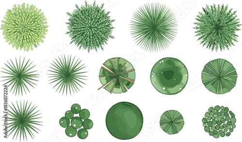 Top-down tree and shrub views, stylized foliage textures, landscape planning elements, green plant icons, flat vector illustration